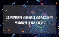 红烧肉放啤酒还是红酒好(红烧肉用啤酒好还是红酒好)