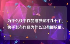 为什么快手作品播放量才几十个(快手发布作品为什么没有播放量)