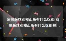 密绣版球衣和正版有什么区别(密绣版球衣和正版有什么区别呢)