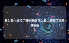 怎么看wifi连接了哪些设备 怎么看wifi连接了哪些设备名