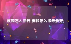 皮鞋怎么保养(皮鞋怎么保养最好)