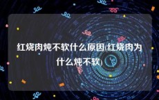 红烧肉炖不软什么原因(红烧肉为什么炖不软)