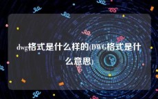 dwg格式是什么样的(DWG格式是什么意思)