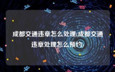 成都交通违章怎么处理(成都交通违章处理怎么预约)