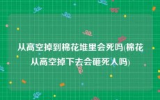 从高空掉到棉花堆里会死吗(棉花从高空掉下去会砸死人吗)