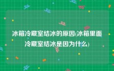 冰箱冷藏室结冰的原因(冰箱里面冷藏室结冰是因为什么)