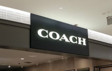 coach钱包怎么清洗(coach帆布包如何清洗)