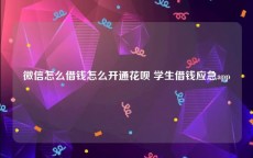 微信怎么借钱怎么开通花呗 学生借钱应急app