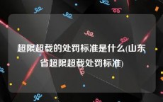 超限超载的处罚标准是什么(山东省超限超载处罚标准)