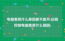 电脑黑屏什么原因都不能开(远程控制电脑黑屏什么原因)