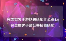 完美世界手游妖兽搭配什么魂石(完美世界手游妖兽技能搭配)