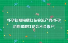 怀孕初期喝藏红花会流产吗(怀孕初期喝藏红花会不会流产)