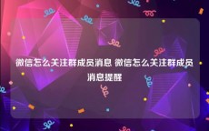 微信怎么关注群成员消息 微信怎么关注群成员消息提醒