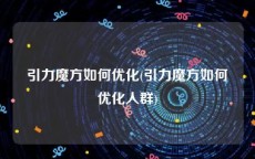 引力魔方如何优化(引力魔方如何优化人群)