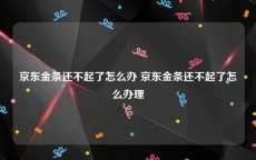 京东金条还不起了怎么办 京东金条还不起了怎么办理