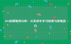 DNS故障案例分析：从实战中学习排查与修复技巧