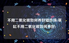 不用二氧化碳如何养好矮珍珠(草缸不用二氧化碳如何养好)