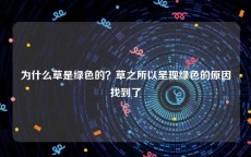 为什么草是绿色的？草之所以呈现绿色的原因找到了