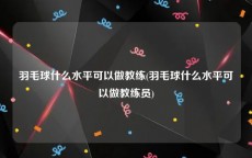 羽毛球什么水平可以做教练(羽毛球什么水平可以做教练员)