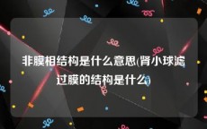 非膜相结构是什么意思(肾小球滤过膜的结构是什么)