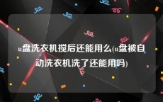 u盘洗衣机搅后还能用么(u盘被自动洗衣机洗了还能用吗)