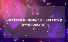 手机支付宝花呗不能用怎么办〈手机支付宝花呗不能用怎么办呢〉