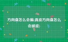 方向盘怎么会偏(真皮方向盘怎么会掉皮)