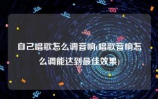 自己唱歌怎么调音响(唱歌音响怎么调能达到最佳效果)