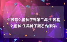 生姜怎么留种子到第二年(生姜怎么留种 生姜种子要怎么保存)