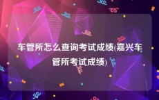 车管所怎么查询考试成绩(嘉兴车管所考试成绩)