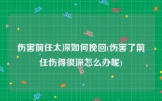 伤害前任太深如何挽回(伤害了前任伤得很深怎么办呢)