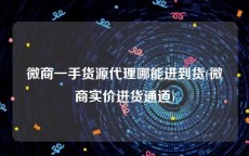 微商一手货源代理哪能进到货(微商实价进货通道)