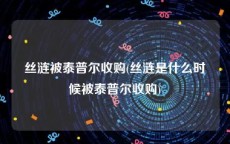 丝涟被泰普尔收购(丝涟是什么时候被泰普尔收购)