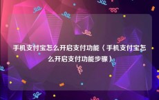 手机支付宝怎么开启支付功能〈手机支付宝怎么开启支付功能步骤〉