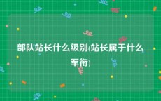 部队站长什么级别(站长属于什么军衔)