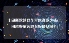 丰田新款越野车奔跑者多少钱(丰田越野车奔跑者报价及图片)