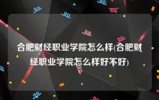 合肥财经职业学院怎么样(合肥财经职业学院怎么样好不好)