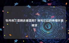 牡丹吊兰喜阴还是喜阳？探究它们的养殖环境需求