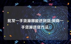 批发一手货源哪能进到货(微商一手货源进货方法)