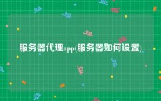 服务器代理app(服务器如何设置)