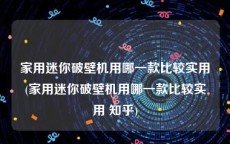 家用迷你破壁机用哪一款比较实用(家用迷你破壁机用哪一款比较实用 知乎)