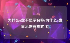 为什么u盘不显示名称(为什么u盘显示需要格式化)