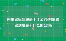 阿里巴巴到底是干什么的(阿里巴巴到底是干什么的公司)