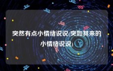 突然有点小情绪说说(突如其来的小情绪说说)