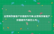 运营商存量客户价值提升方案(运营商存量客户价值提升方案怎么写)