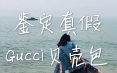 gucci男鞋怎么查真假(Gucci怎么查购买记录)