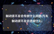 制动液不足会导致什么问题(汽车制动液不足会造成什么)