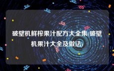 破壁机鲜榨果汁配方大全集(破壁机果汁大全及做法)