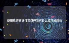 使用易语言进行项目开发有什么技巧或建议