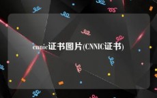 cnnic证书图片(CNNIC证书)